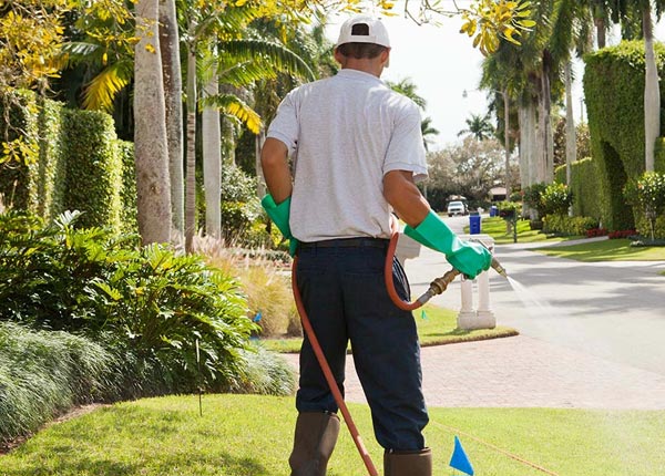 About Camilla GA Pest Control Pros